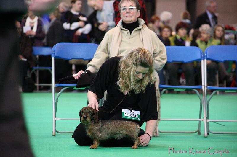 Crufts2011_2 718.jpg